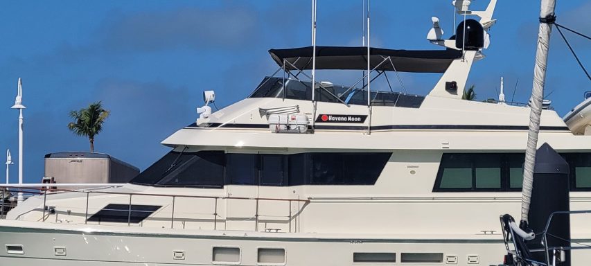 Large bimini top
